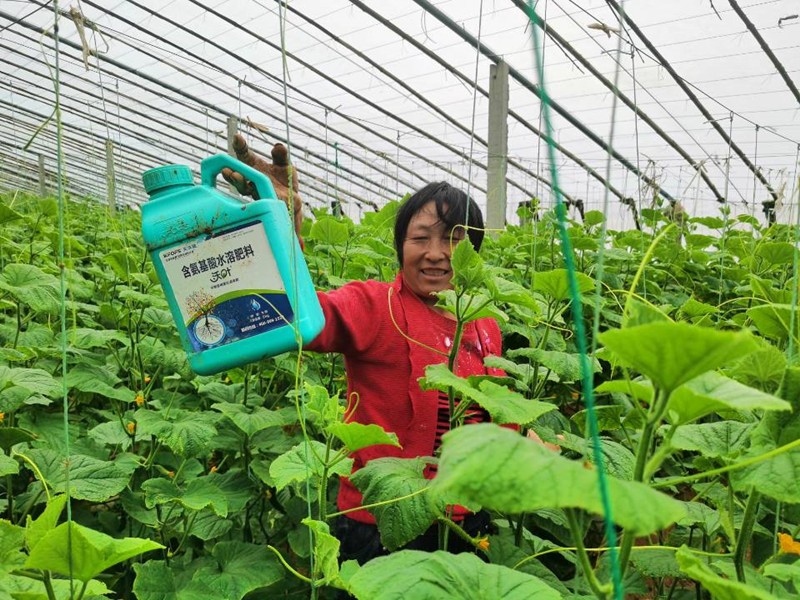 蔬菜沖施肥怕凍嗎？