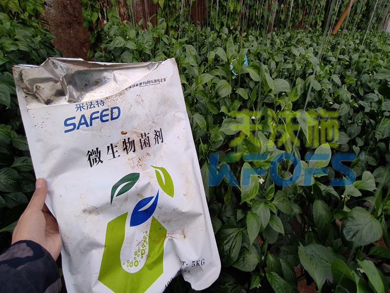 微生物菌劑，你不知道的秘密在這里！