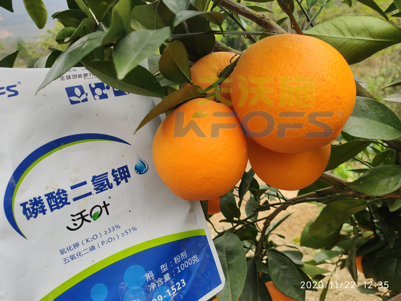 水溶肥市場雜亂無章，種植朋友該選什么樣的產(chǎn)品？