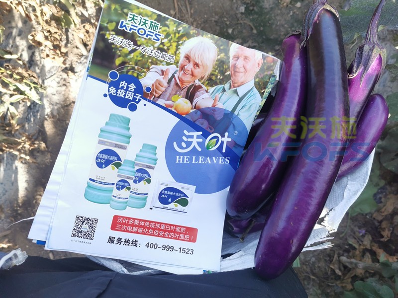 葉面肥哪個(gè)好？這款都說(shuō)好