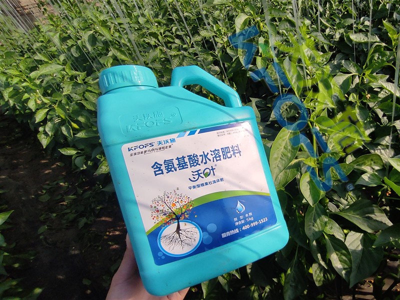水溶肥與沖施肥有什么區(qū)別？