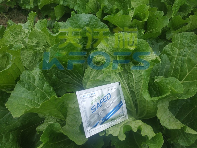 白菜葉面肥哪家好？