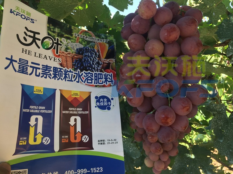 果樹沖施肥怎么樣沖，才能有好效果呢？
