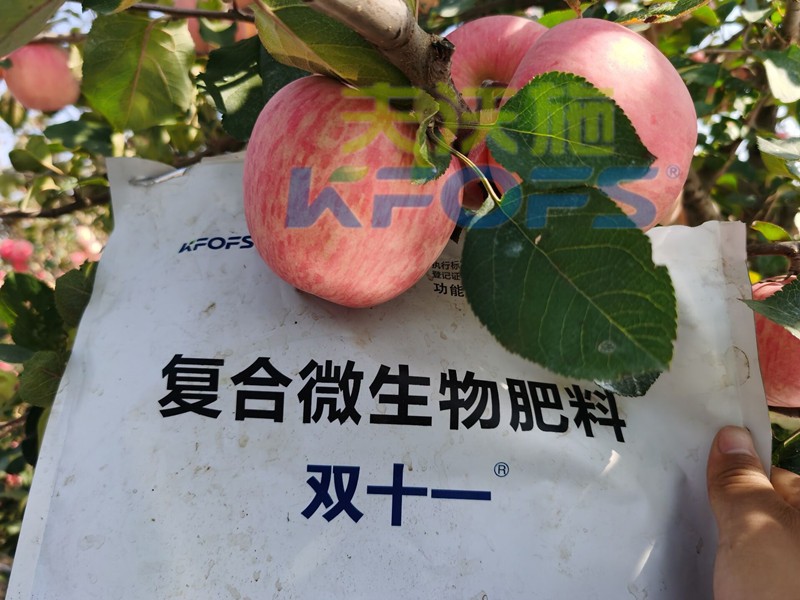 什么樣的水溶肥廠家值得客戶長(zhǎng)期跟隨？