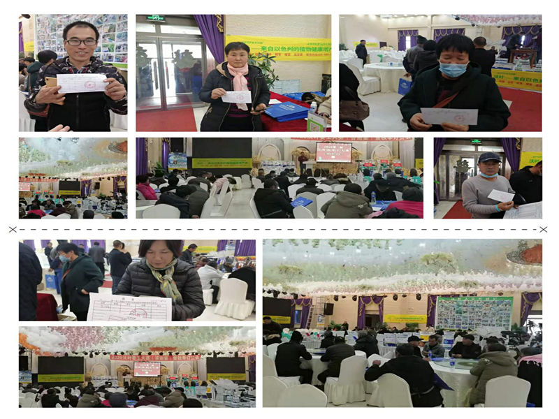 水溶肥廠家-沃葉姜王大賽現(xiàn)場.png