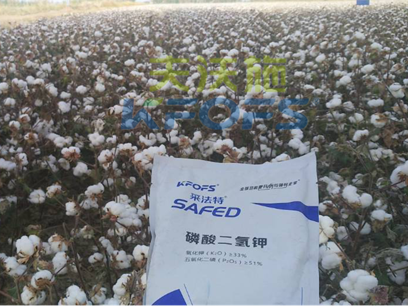 水溶肥哪家好？楊老板說他只信賴采法特！