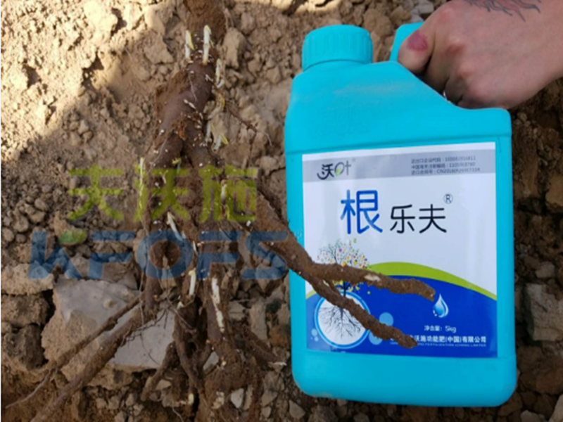 水溶肥越來越難做，他竟然能如此輕松？讓我們一探究竟！
