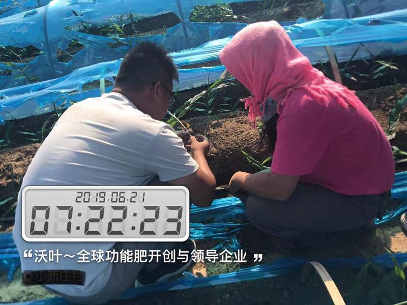 農(nóng)資銷售的堅硬壁壘將如何打破！.png