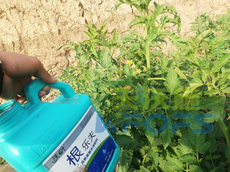 生根劑用多了燒根嗎？