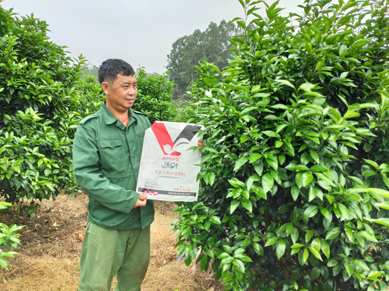 水溶肥品牌的選擇，種植戶有發(fā)言權(quán)