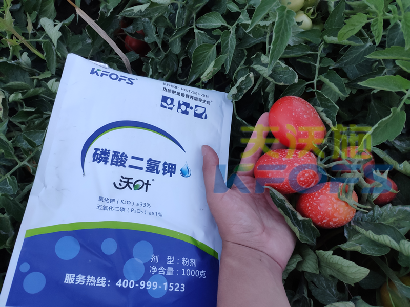 磷酸二氫鉀哪個(gè)牌子的可以選？你用對(duì)了嗎？