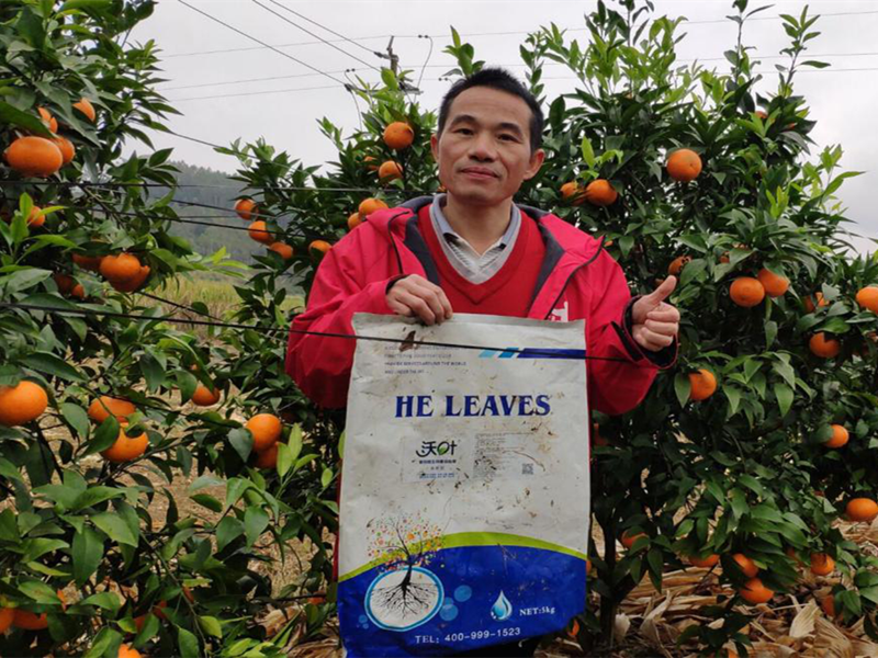 微生物菌劑-柑橘用沃葉微生物菌劑效果.png