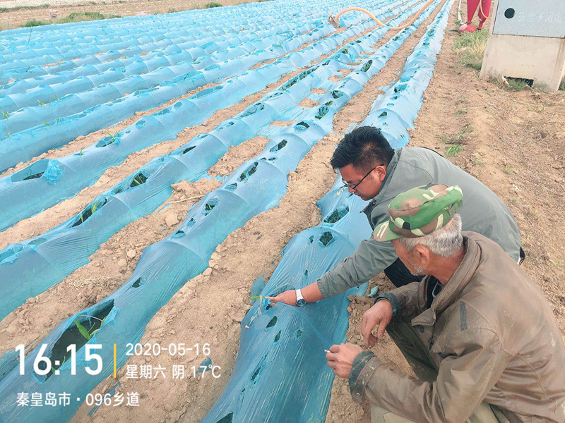 水溶肥廠家-夫沃施水溶肥廠家技術(shù)指導.png
