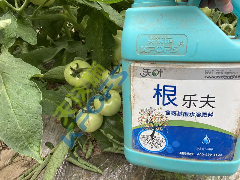 水溶肥品牌哪家好，如何找尋增產(chǎn)增效產(chǎn)品
