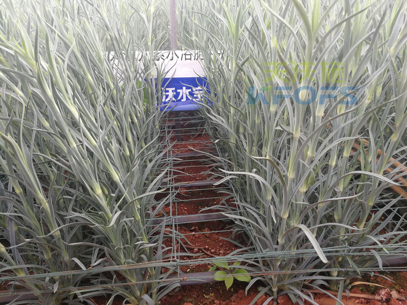 進口水溶肥真的好過國產(chǎn)嗎-沃水寶大量元素1.png