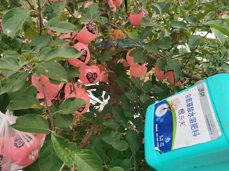 蘋果水溶肥哪個牌子好-沃葉根樂夫.png