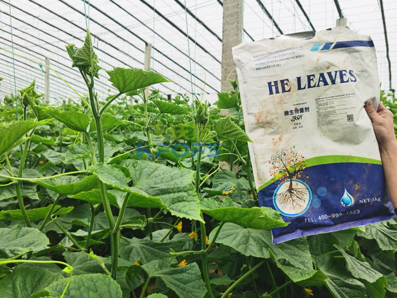 微生物菌劑哪個(gè)牌子好？莊總只認(rèn)可這款！