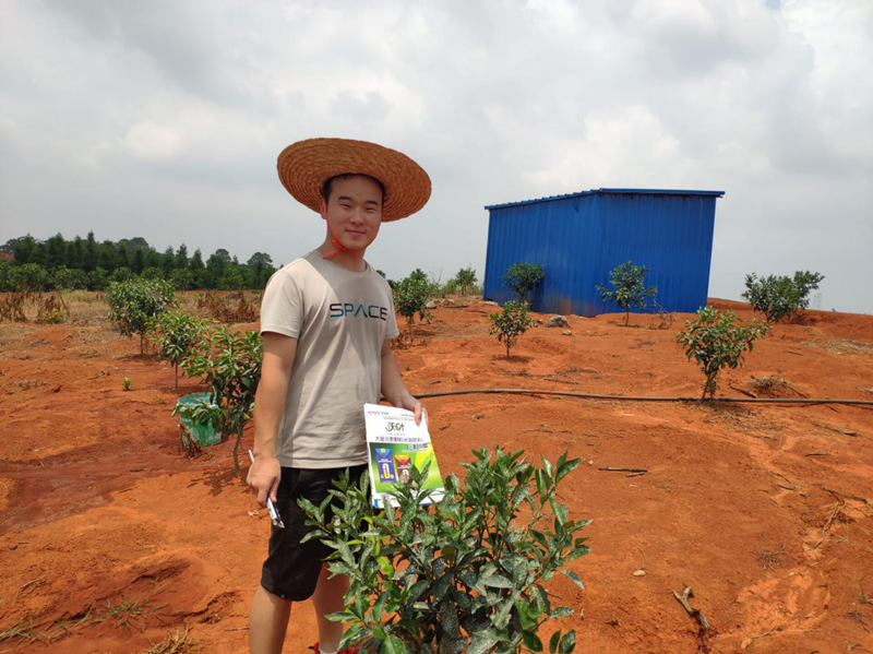 顆粒水溶肥-柑橘苗使用沃葉顆粒水溶肥效果1.png