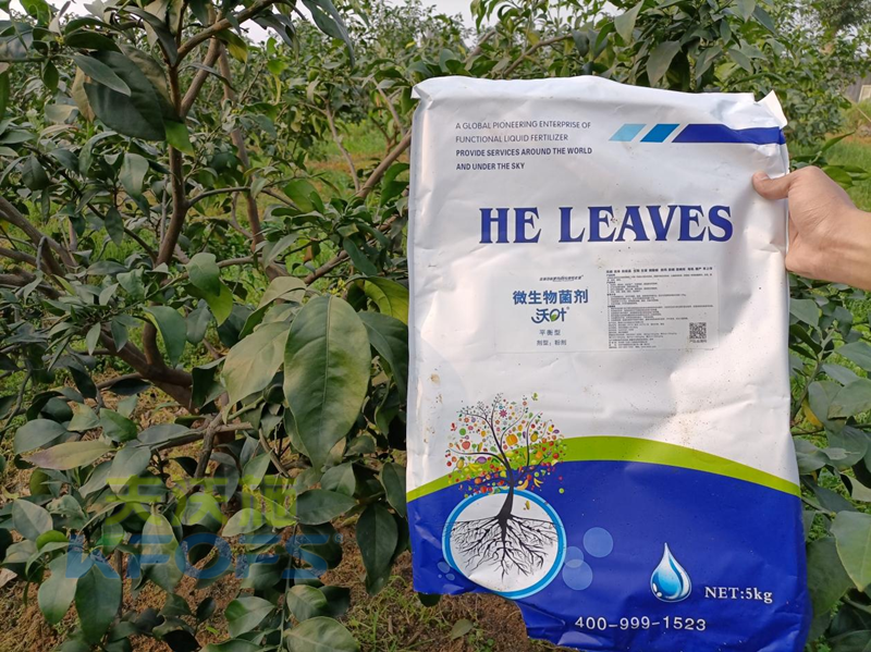 氨基酸水溶肥-愛媛柑橘用沃葉微生物菌劑.png
