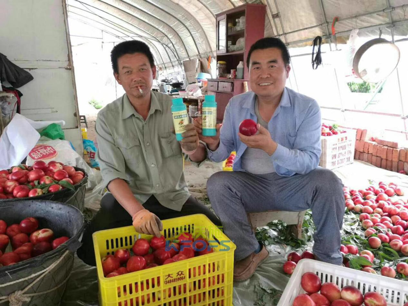 葉面肥什么時候打效果好？記住這幾個節(jié)點！