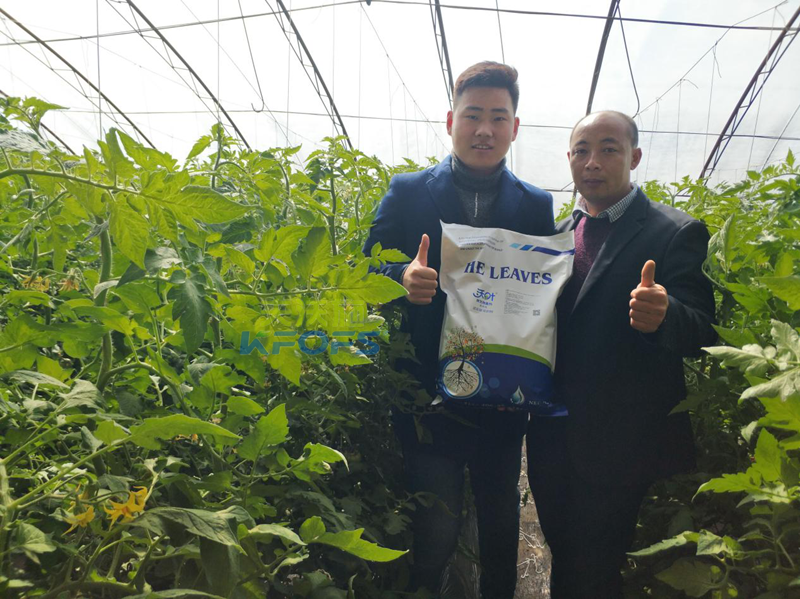 50年后的土壤如何，值得我們深思!