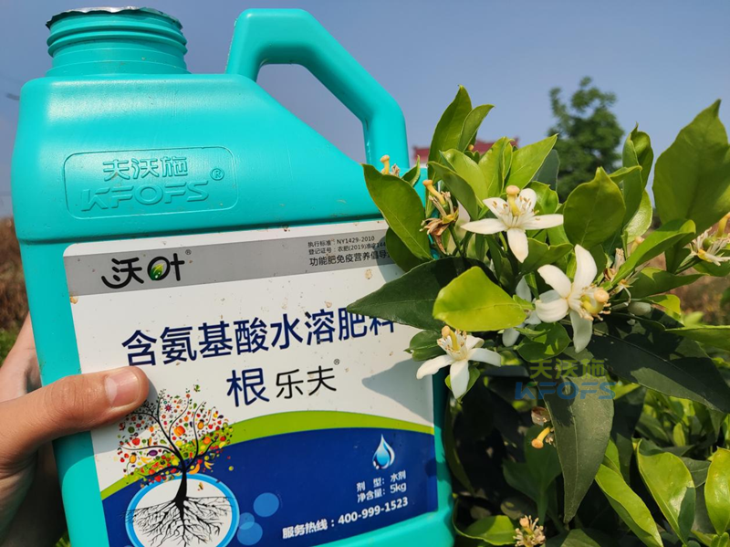 水溶肥廠(chǎng)家哪家好-沃葉根樂(lè)夫柑橘.png