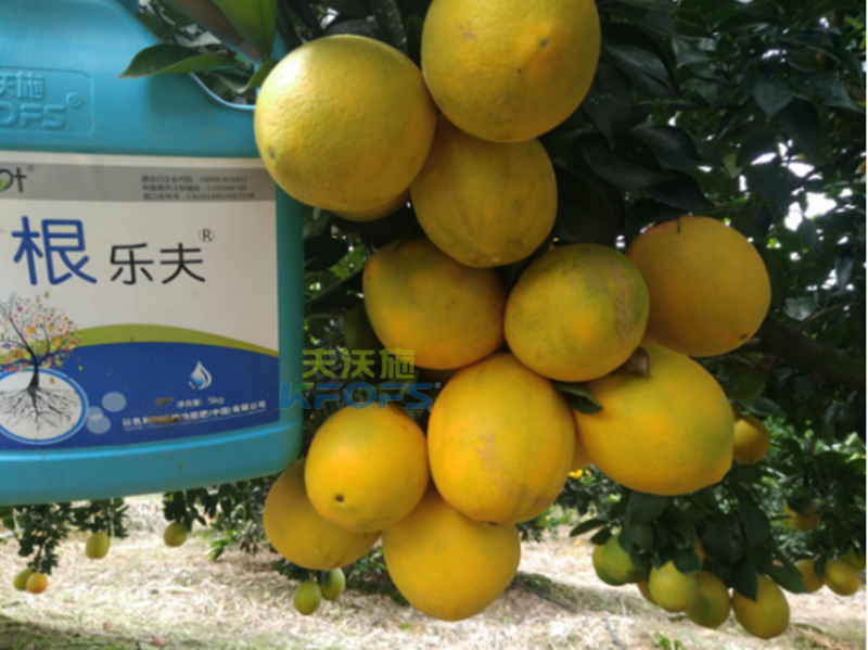 果樹沖施肥的方法和時(shí)間？