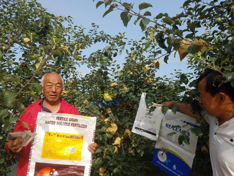 蘋果樹施什么肥好？