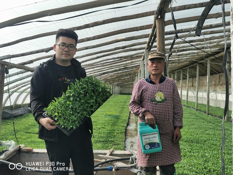 水溶肥有哪些-沃葉根樂(lè)夫生根水溶肥辣椒.png