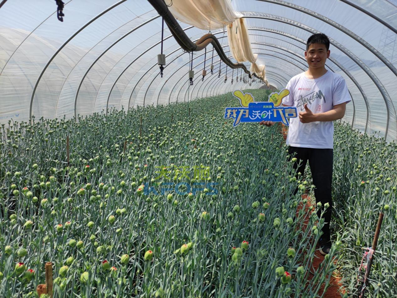 進口水溶肥怎么選？王總的答案！