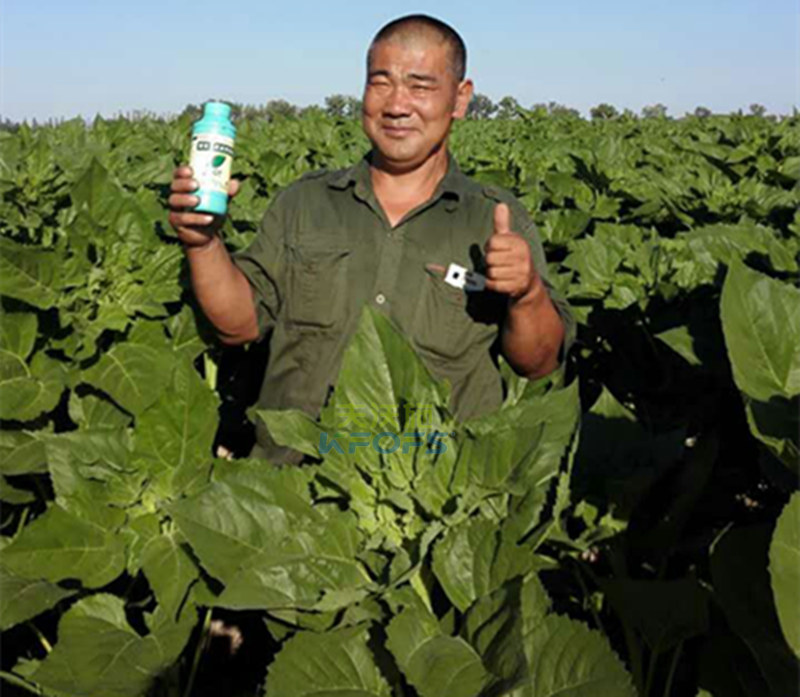 葉面肥的分類及注意事項有哪些？1.png