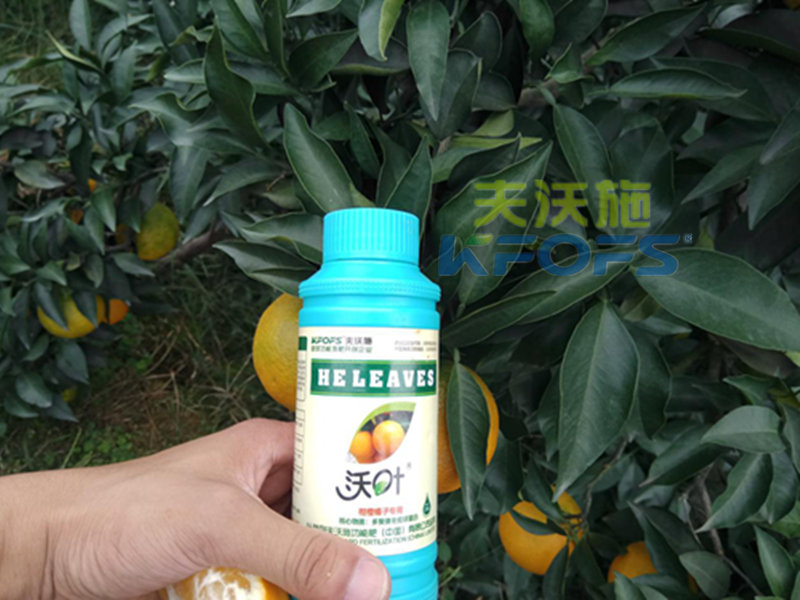 葉面肥能預(yù)防作物早衰嗎？1.png