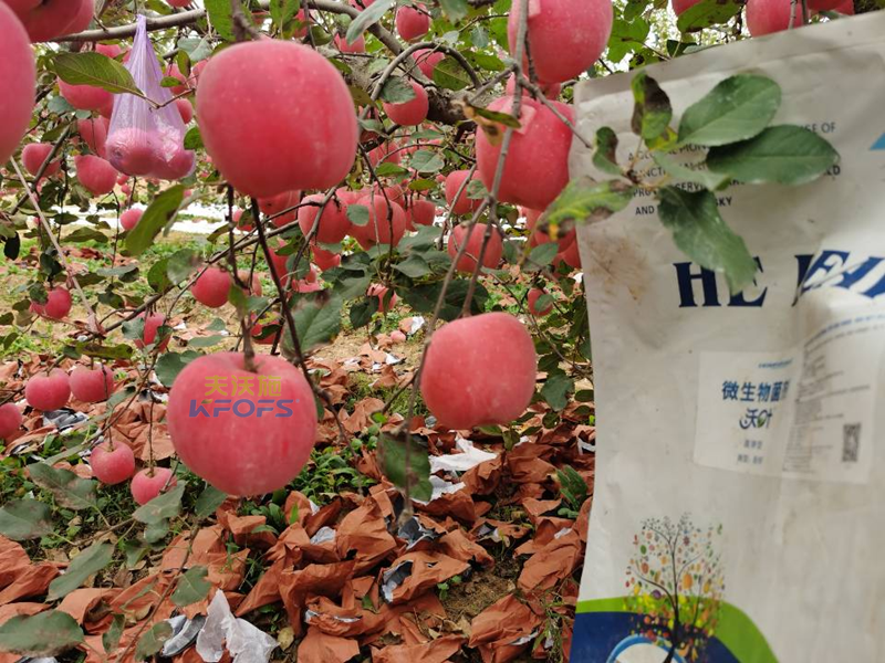 水溶肥果樹用效果好不好？