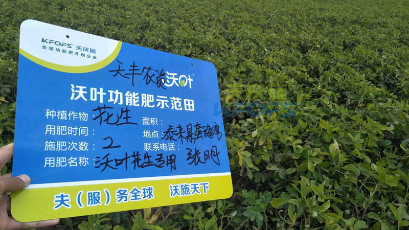 花生高產(chǎn)施肥技術!