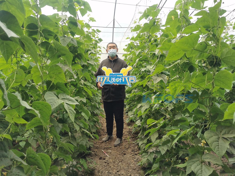 什么是水溶肥-夫沃施沃葉水溶肥用戶見證1.png