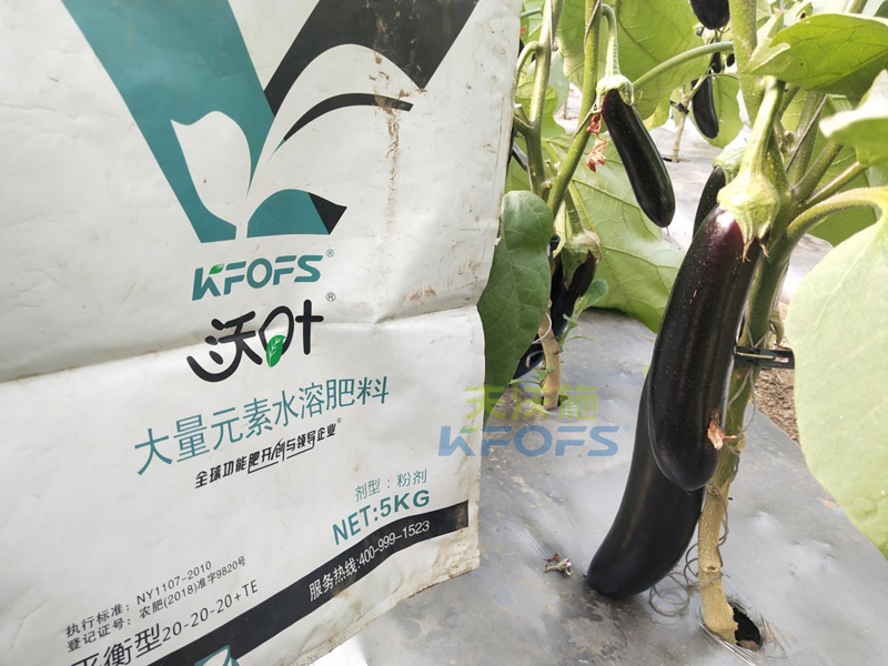 水溶肥是什么肥料？