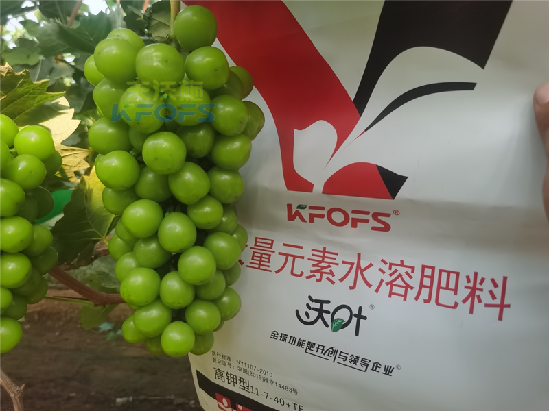 水溶肥和復(fù)合肥哪個效果更好？