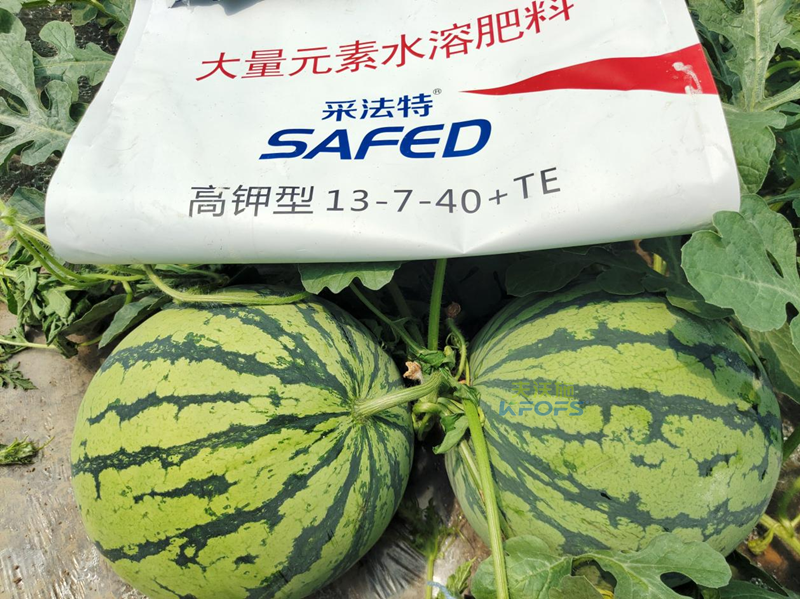 好點的水溶肥大概多少錢-采法特水溶肥1.png