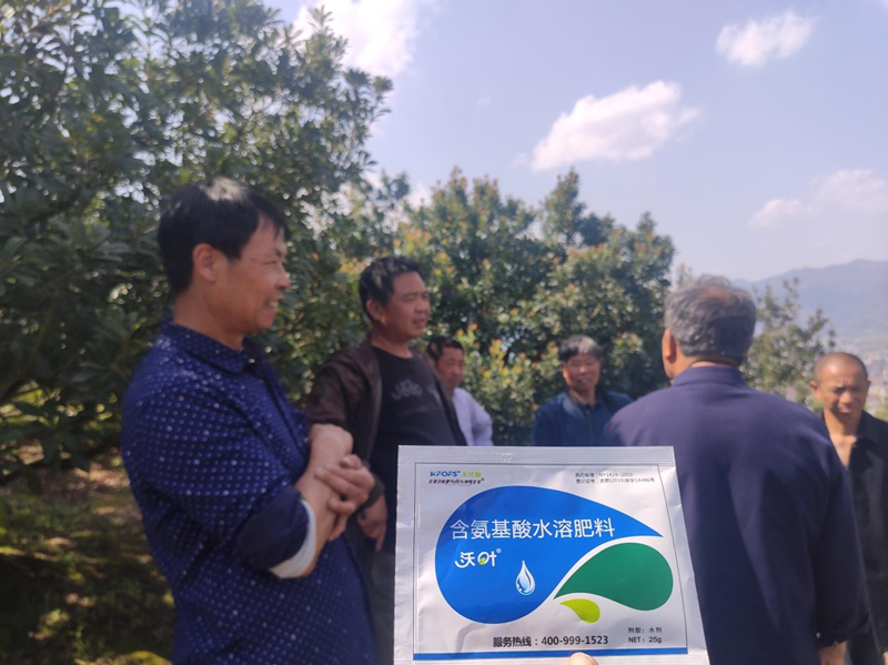 楊梅噴什么水溶肥好？