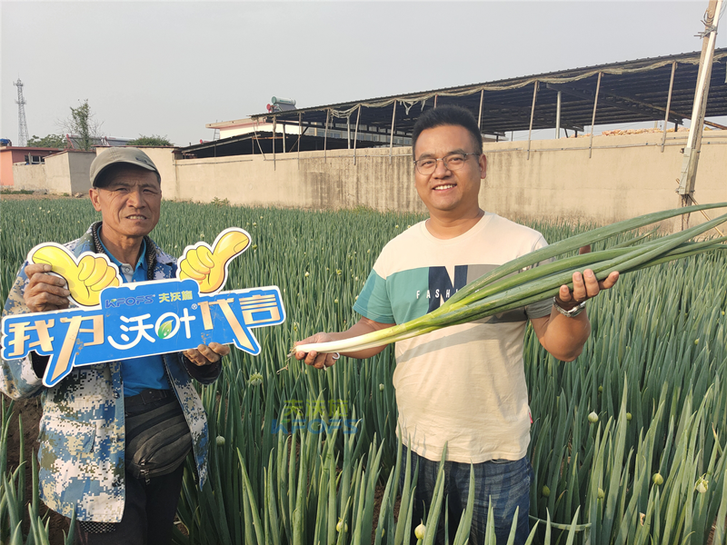 進口水溶肥以色列夫沃施，讓更多人受益！