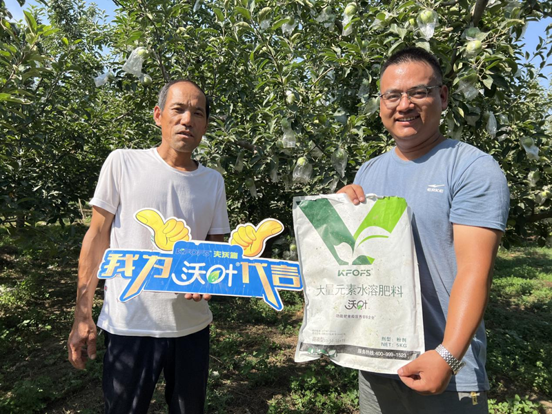 桃樹(shù)施肥時(shí)間和方法，值得收藏！
