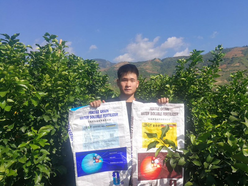 沃葉水溶肥怎么樣？聽聽他們怎么說？