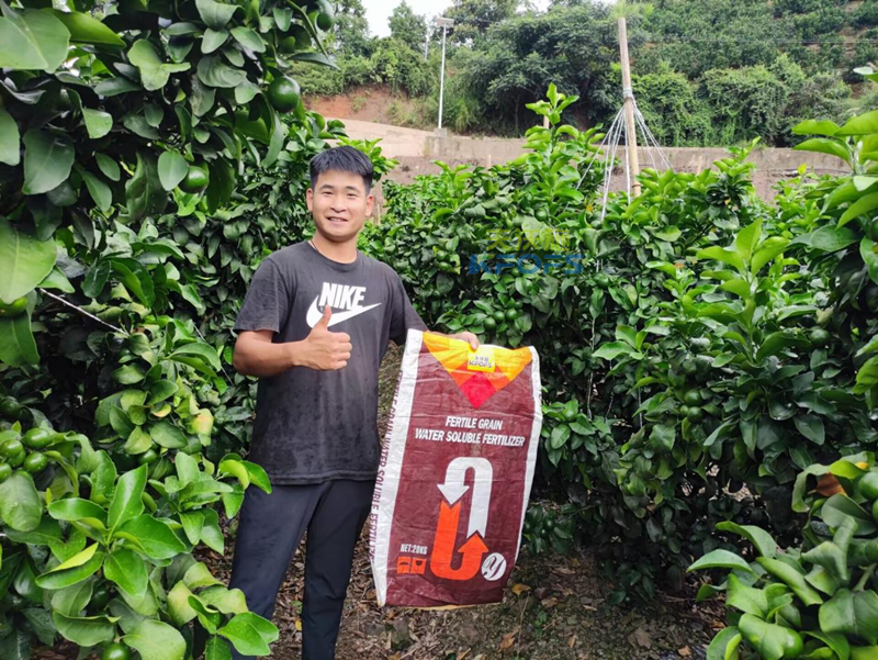 水溶肥用在柑橘上效果怎么樣？