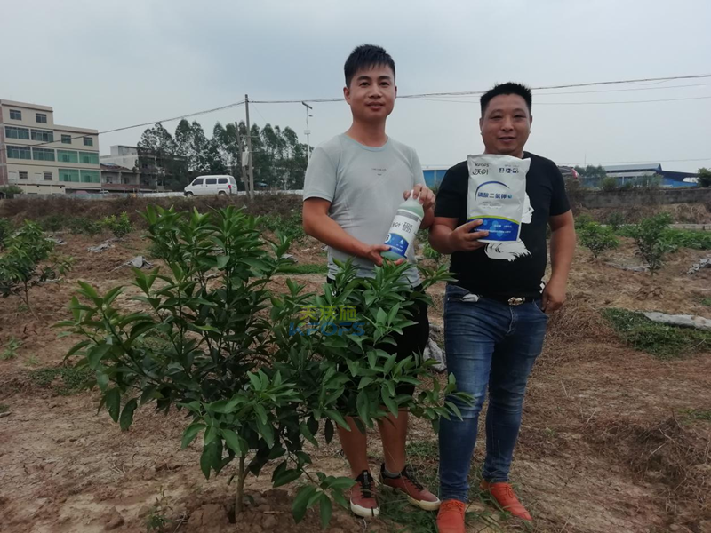 柑橘樹(shù)小苗施什么肥好-沃葉水溶肥系列.png