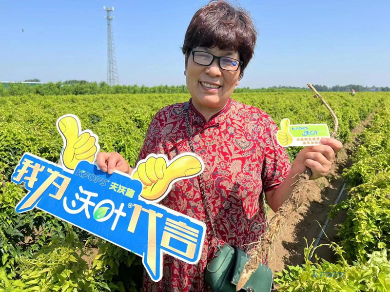 改良土壤肥料有哪些？夫沃施功能肥