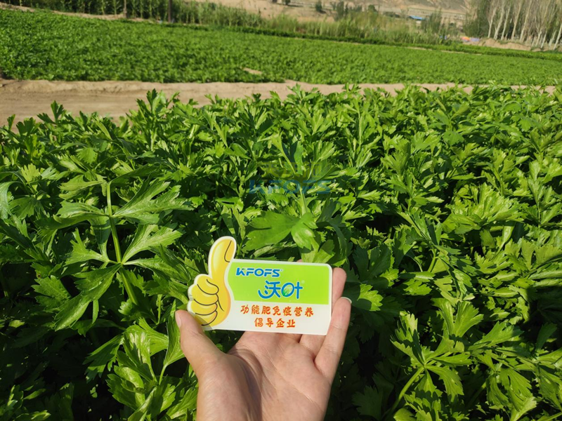 生根套餐哪家強(qiáng)-沃葉根樂夫+菌劑1.png