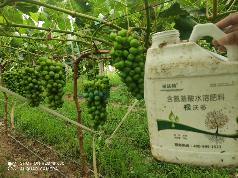 水溶肥怎么選？夫沃施告訴你這幾點