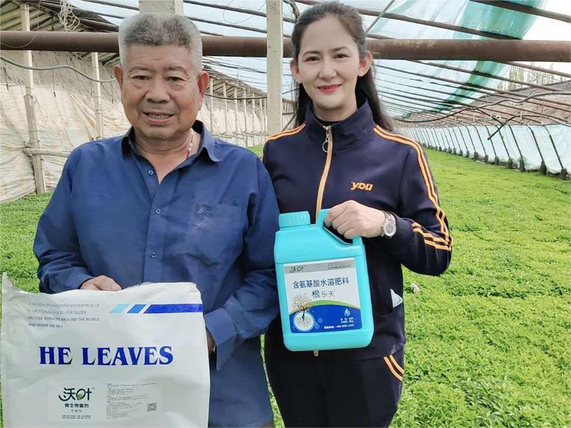 辣椒苗期施肥管理，掌握這項技術(shù)