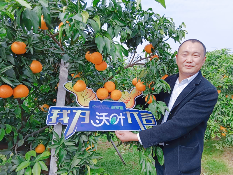 柑橘樹用什么肥料好？