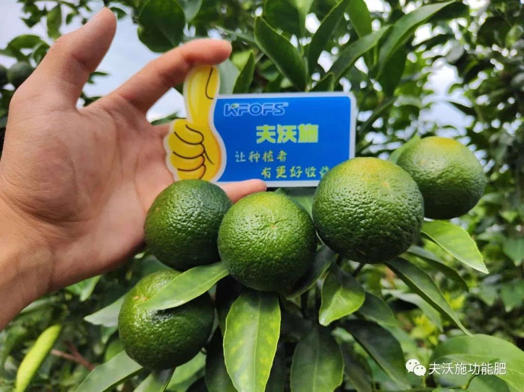 改善土壤板結(jié)用什么肥料？